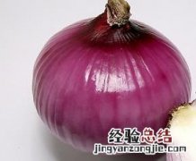 洋葱的药用价值和食用价值 洋葱的药用价值介绍