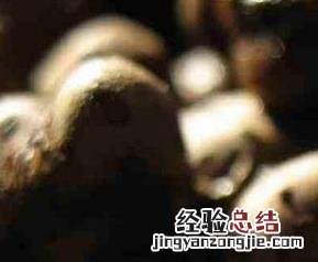 山药豆的功效与作用 山药豆的功效与作用减肥
