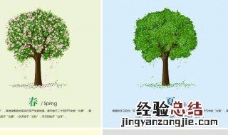 春夏秋冬四个季节各有什么特点 在我国不同的季节有不同的特点