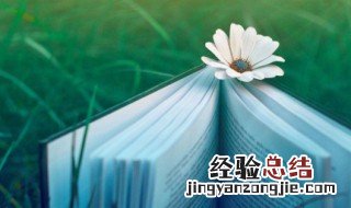 做事持之以恒的名句格言是什么 做事持之以恒的名句格言