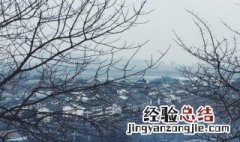 归彼大荒的主旨 归彼大荒概括
