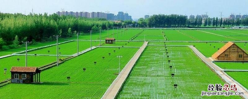 生态农业设计的类型包括,现代农业按什么安排生产