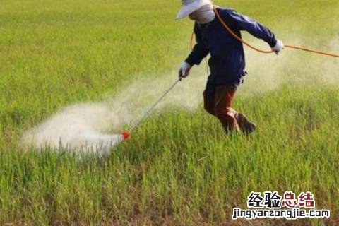70种杀菌剂作用分类 杀菌剂的种类