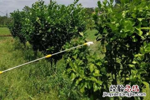 70种杀菌剂作用分类 杀菌剂的种类