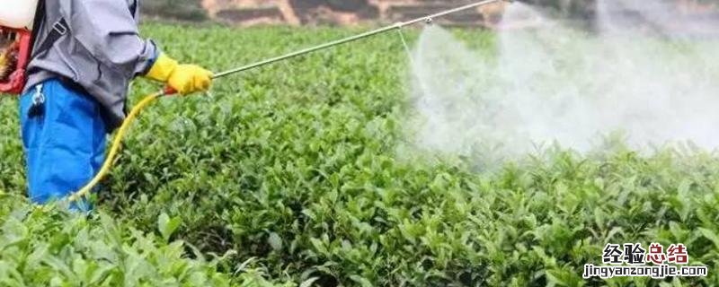 70种杀菌剂作用分类 杀菌剂的种类