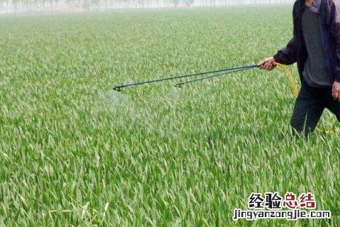 70种杀菌剂作用分类 杀菌剂的种类