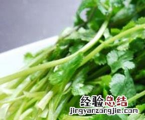 香菜的实用功效有哪些 香菜的实用功效有哪些图片