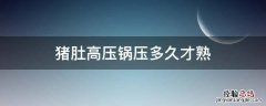 猪肚高压锅压多久才熟 整个猪肚高压锅压多久才熟