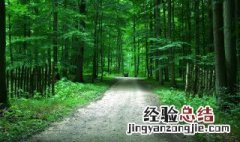 植树的感悟 植树的感悟300字