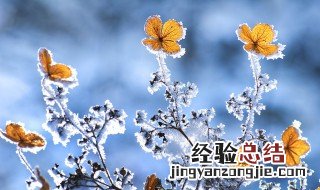 描写冬天的好词好句 有关冬天的写作素材都在这里