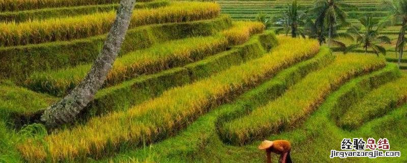 农民在春夏秋三个季节农事活动 说一说农民在春夏秋三个季节的农事活动
