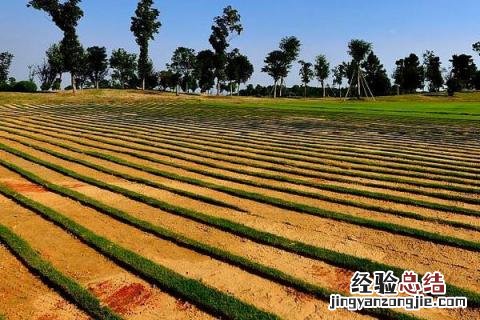 农民在春夏秋三个季节农事活动 说一说农民在春夏秋三个季节的农事活动
