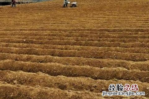 农民在春夏秋三个季节农事活动 说一说农民在春夏秋三个季节的农事活动