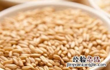 儿童吃胚芽米的功效与作用 胚芽米的功效与作用
