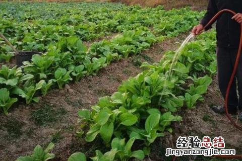农民冬季的农事活动是什么 在冬季的农事活动有