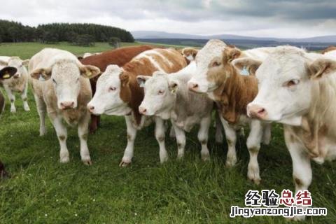 农民冬季的农事活动是什么 在冬季的农事活动有