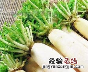 萝卜的功效与作用与禁忌 萝卜的功效与作用