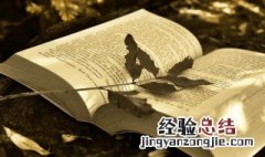 俊组词 俊怎么组词