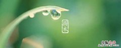 雨水节气吃什么 雨水节气吃什么传统食物最好
