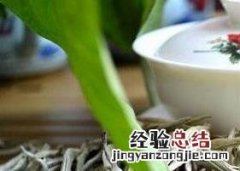 毛尖茶有什么营养 白毛尖茶的营养价值
