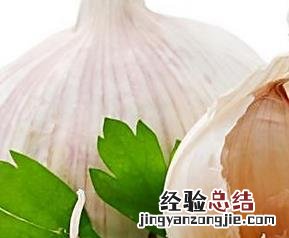吃大蒜怎么去除口腔异味最有效 吃大蒜怎么去除口腔异味
