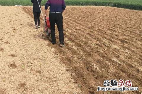 春天农民在做什么农活 春天做的农活