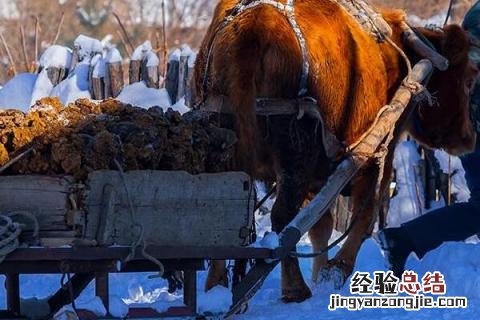 冬季农民忙什么农活 冬天农民忙什么