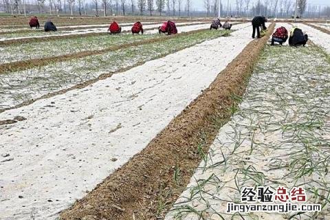 冬季农民忙什么农活 冬天农民忙什么