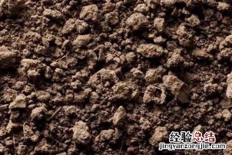 农村种地步骤 农民种地的过程步骤