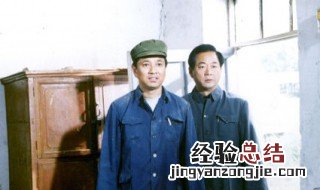 电视剧县长叫苗刚县委书记叫孙浩胡电视剧叫什么 电视剧主要讲什么故事