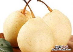 水晶梨和皇冠梨的区别在哪里 水晶梨和皇冠梨的区别