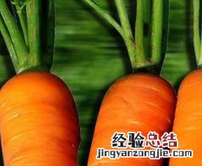 胡萝卜的食疗功效与用法