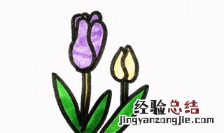 花瓣怎么画 百合花瓣简笔画教程