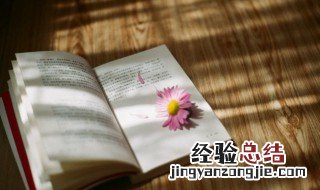 一树梨花厌海棠什么意思 一树梨花厌海棠的含义