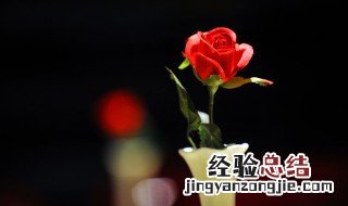 情人节为什么送玫瑰花 情人节为啥送玫瑰花