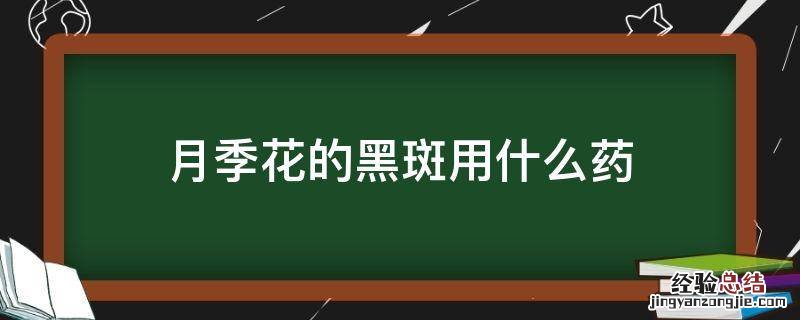 月季花有黑斑怎么治 月季花的黑斑用什么药