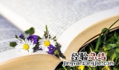 虚伪什么意思 虚伪解释