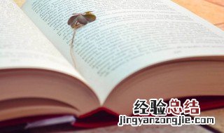 秀气什么意思 秀气解释