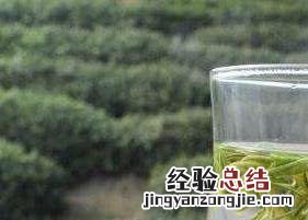 白茶和毛尖之间的区别 白茶与毛尖的区别