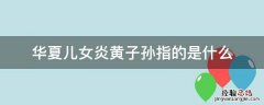 华夏儿女炎黄子孙指的是什么 华夏儿女和炎黄子孙的由来
