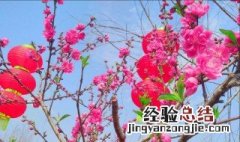 怎么才能招来正桃花运 如何提升正桃花运