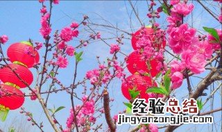 怎么才能招来正桃花运 如何提升正桃花运
