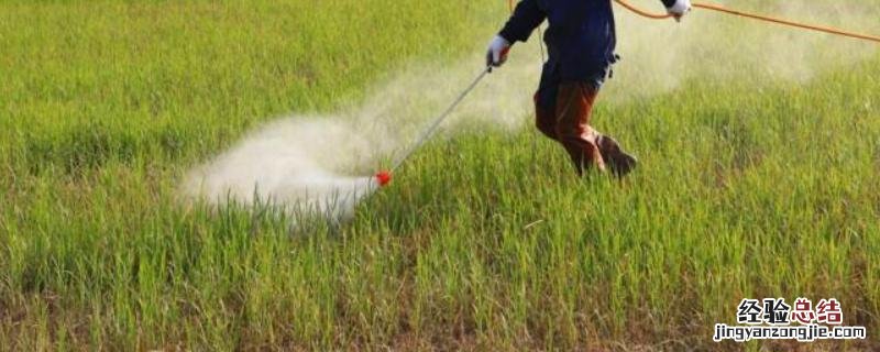 打什么解药能去锈去津,锈去津对后茬作物有什么影响
