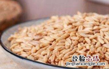 燕麦米怎么煮粥 燕麦米怎么吃