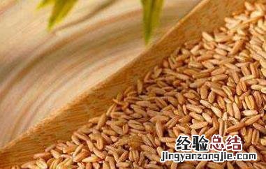 燕麦米怎么煮粥 燕麦米怎么吃