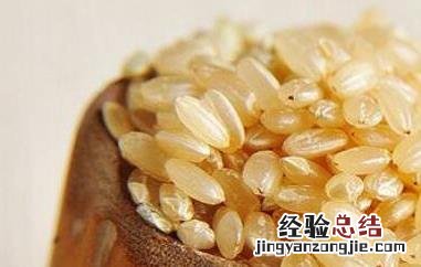 糙米的功效与作用及食用方法 糙米的功效与作用及食用方法禁忌
