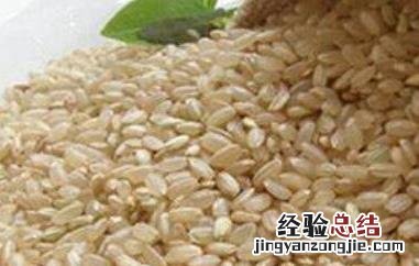 糙米的功效与作用及食用方法 糙米的功效与作用及食用方法禁忌