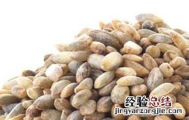 青稞米的功效与作用 藜麦的功效与作用