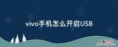 vivo手机怎么开启usb调试 vivo手机怎么开启USB