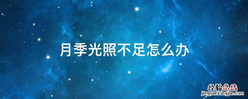 月季光照不足怎么办 月季光线不足怎么处理